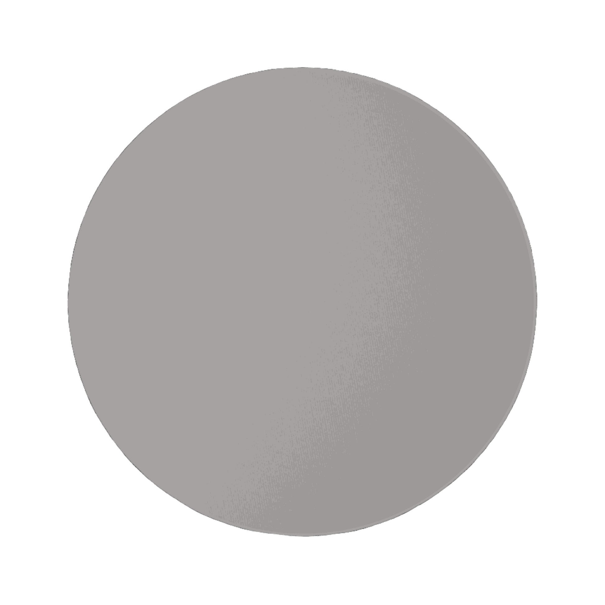 Round Rug (Save What Has Been Lost)